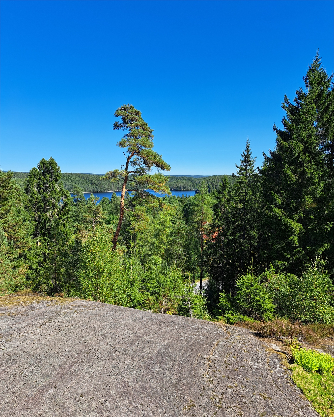 Rörviken 1720 – bild 21