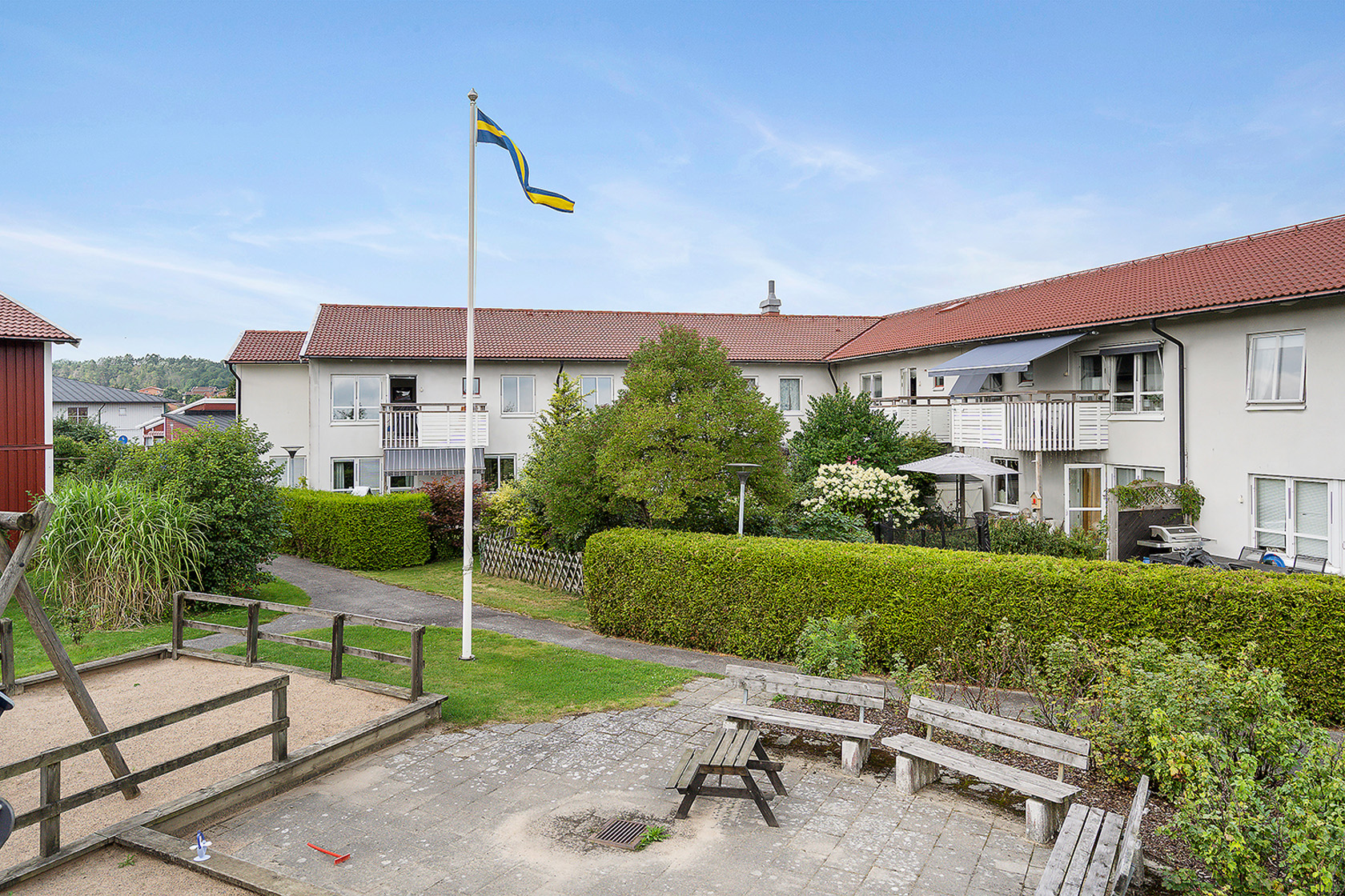 tors 24/9 – bild 19
