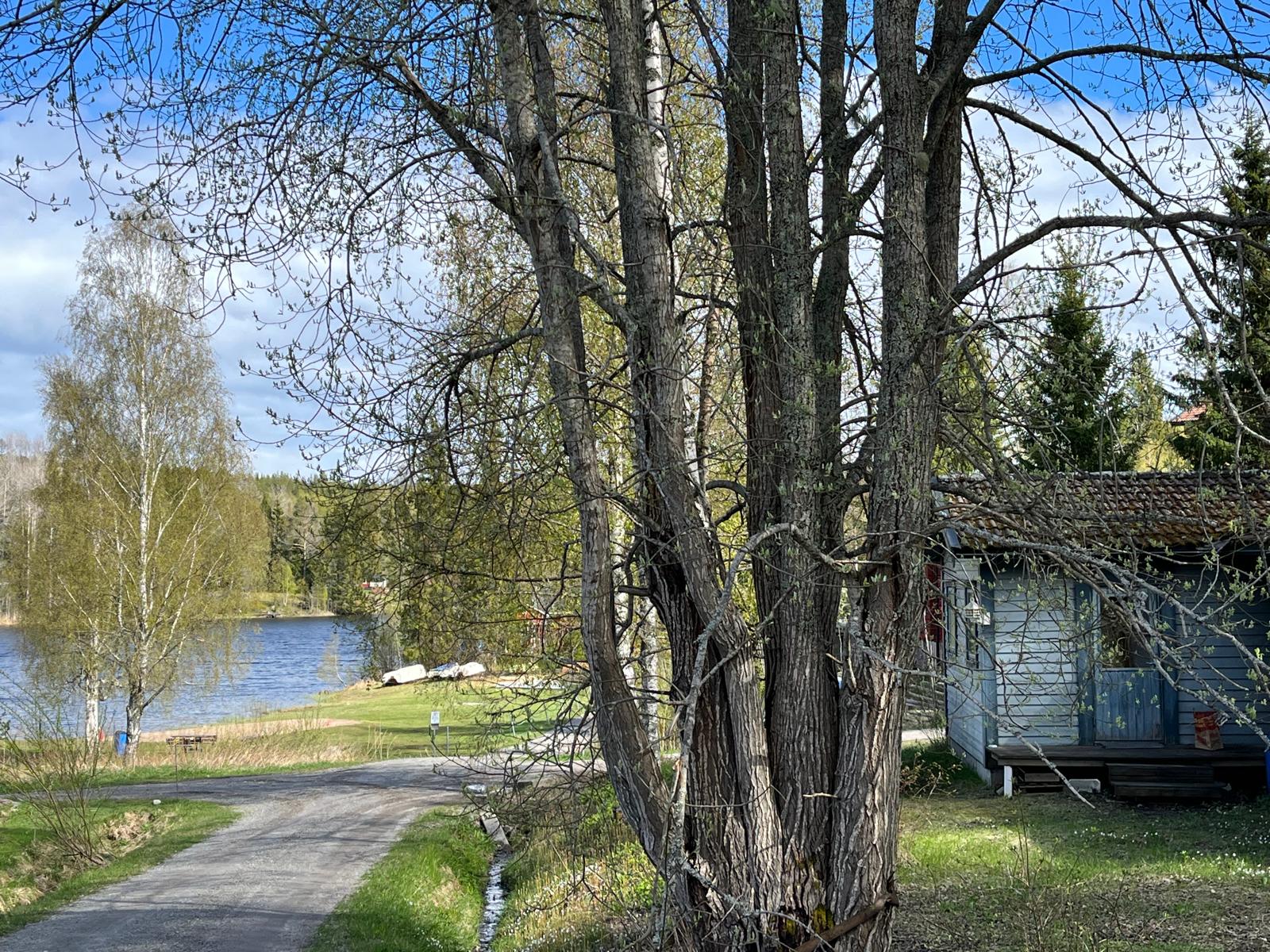 Nordenholm 308 och 310 – bild 18