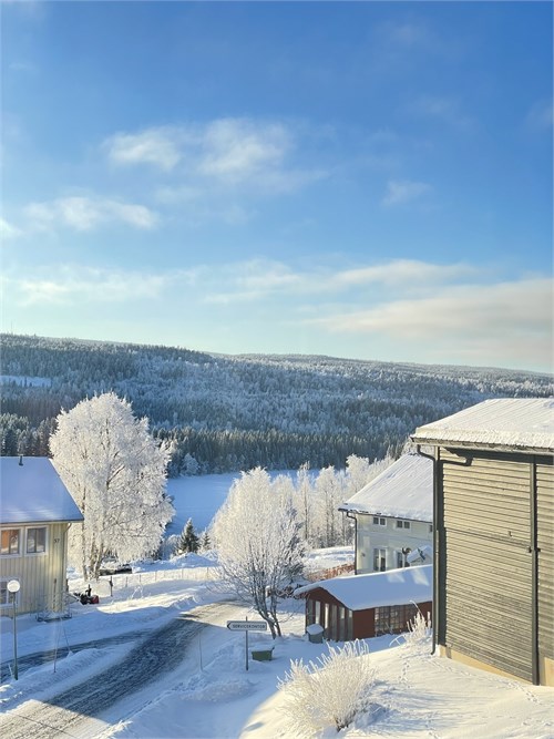 Säljarens bild