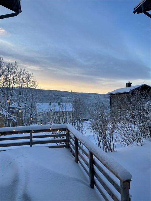 Säljarens bild