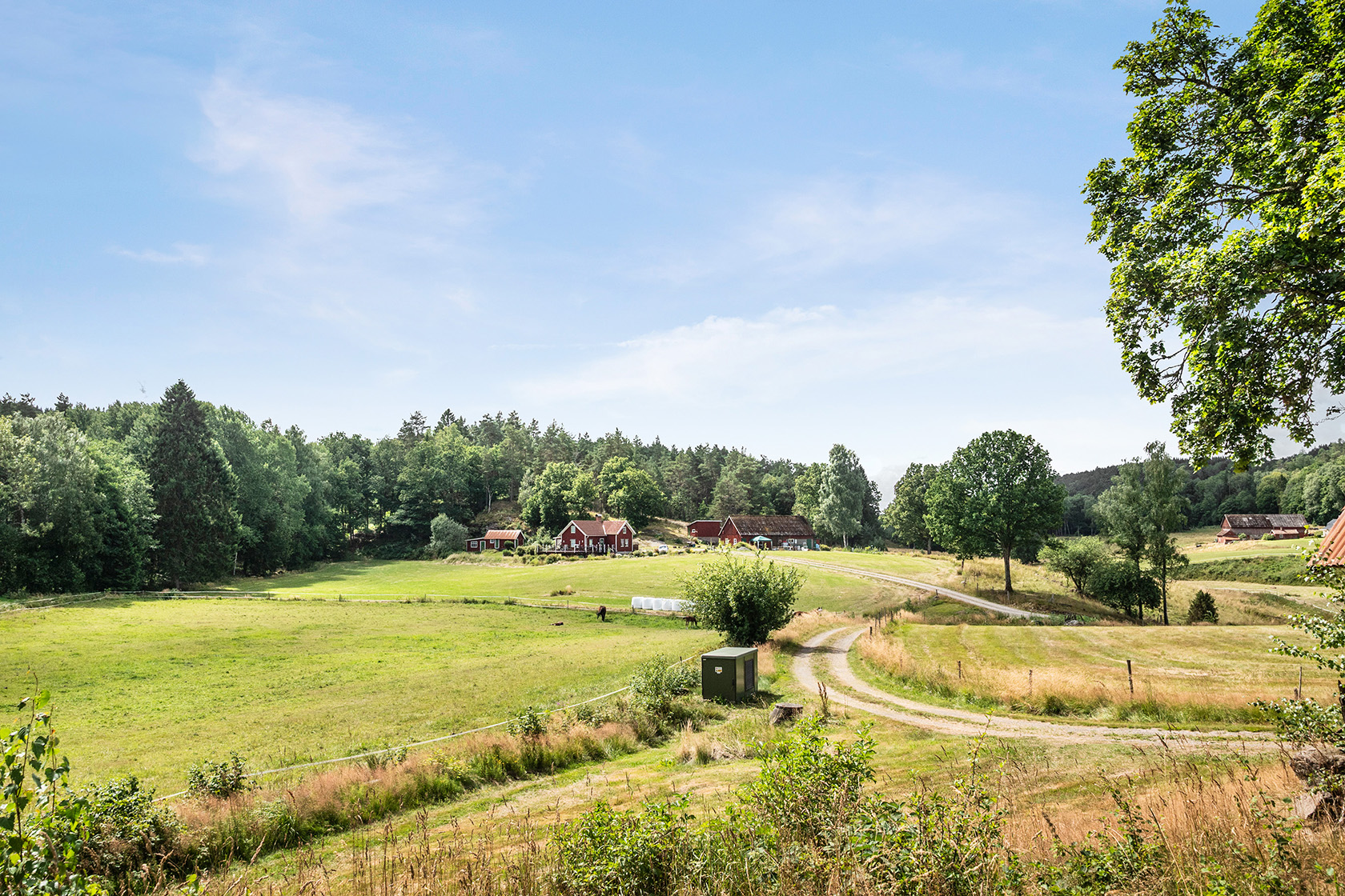 Dala Österäng – bild 9