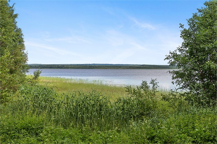 Vitå