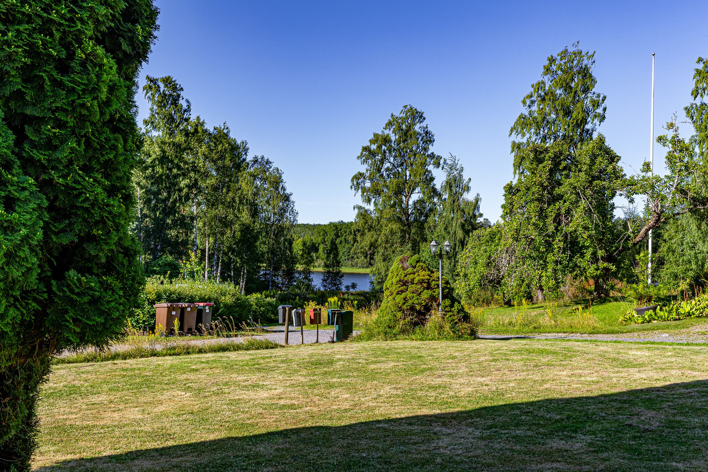 Avelsbol Soläng 1 – bild 36