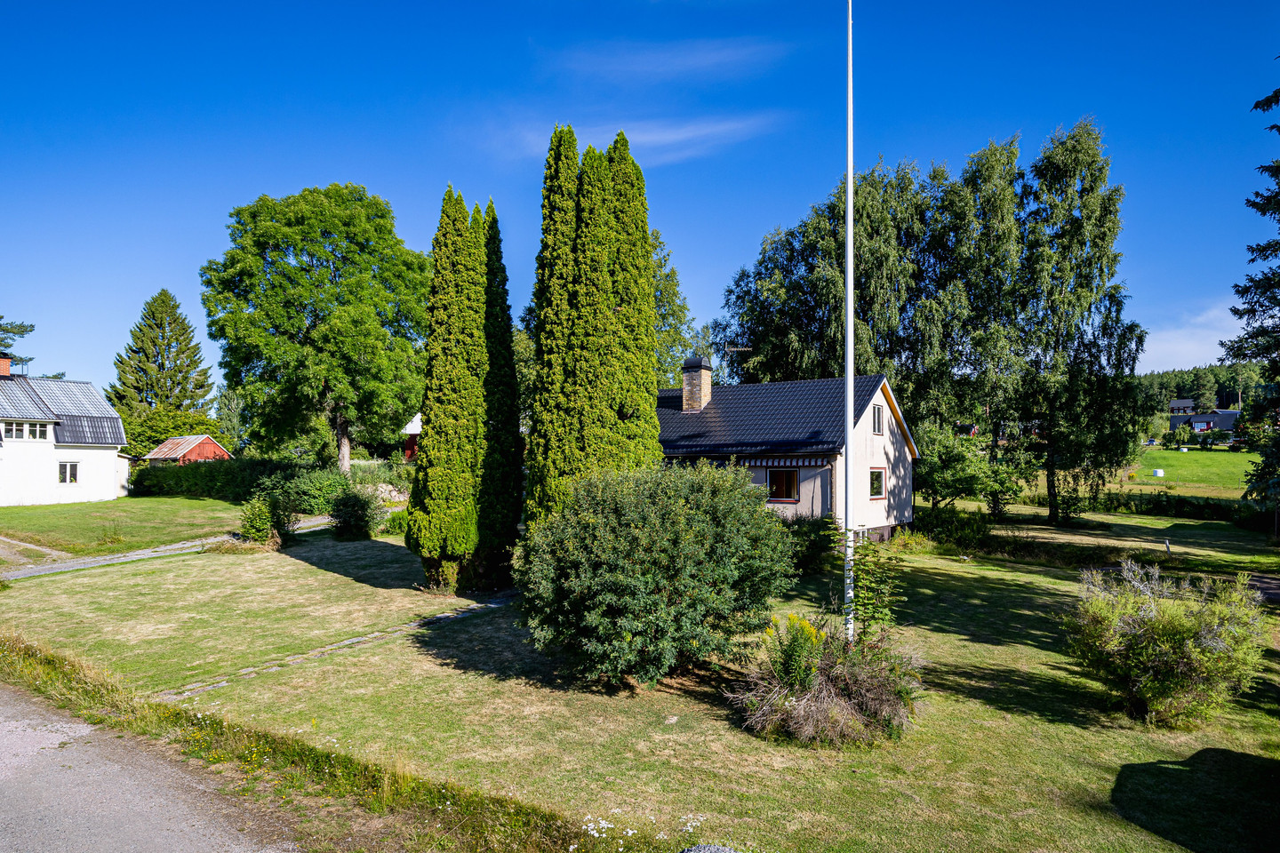 Avelsbol Soläng 1 – bild 37