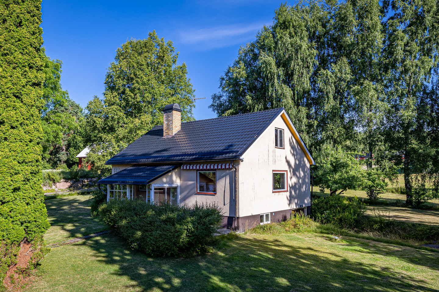Avelsbol Soläng 1 – bild 31
