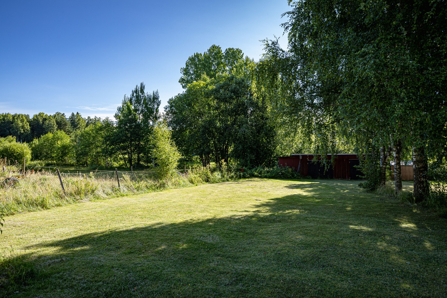 Avelsbol Soläng 1 – bild 34