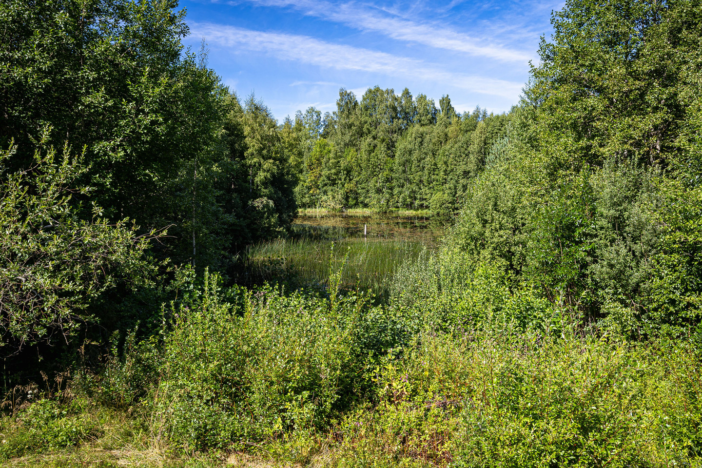 Speke Västra Bostället 1 – bild 22