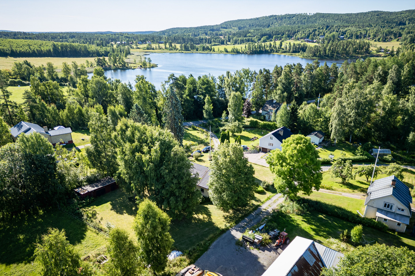 Avelsbol Soläng 1 – bild 41