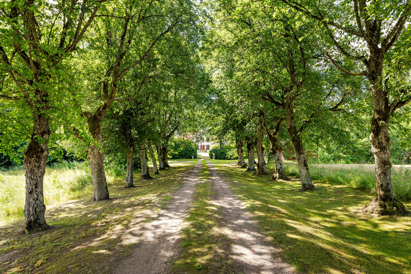 Smebybacke Gård – bild 19