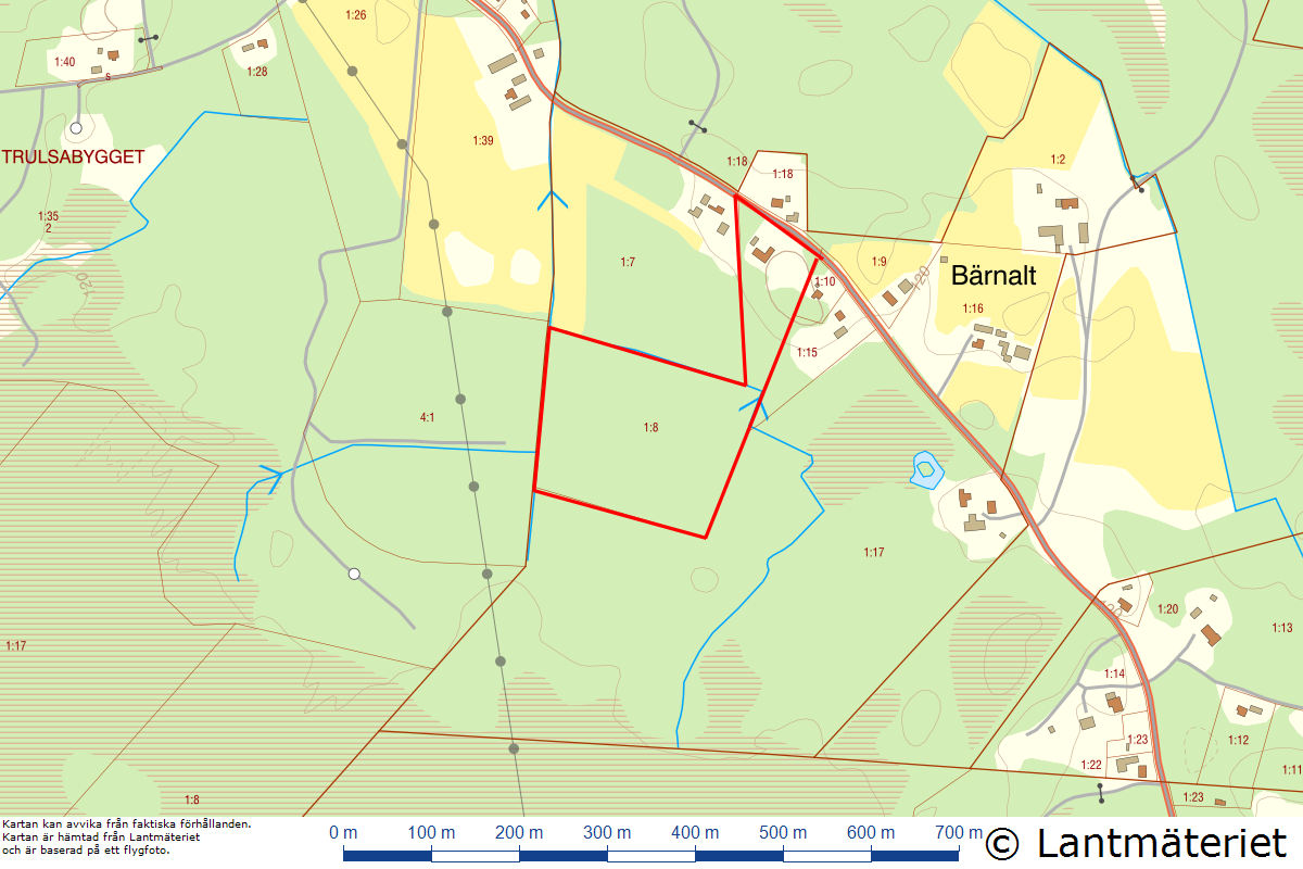 Bärnalt 8812 – bild 38