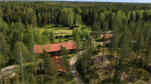 AI redigerad sommar