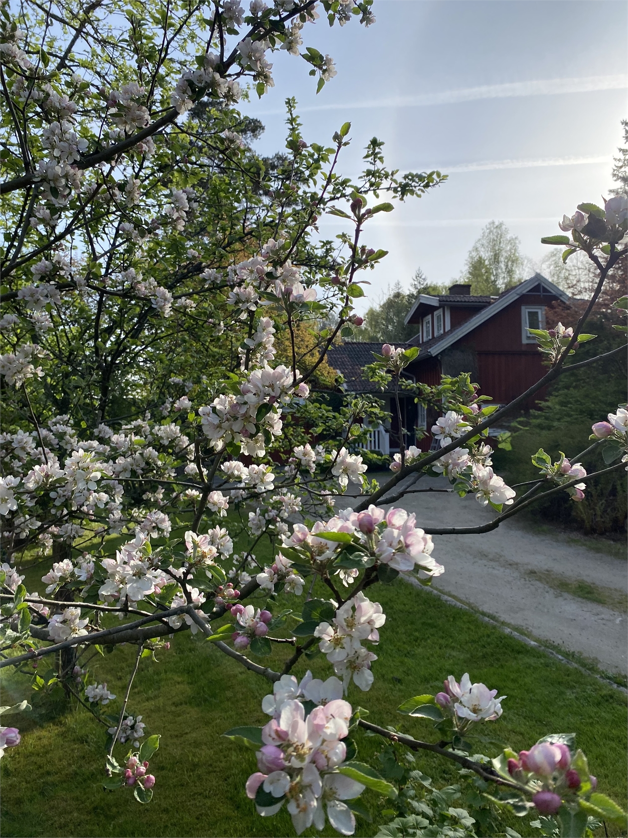 Bergsjöholmsvägen 2 – bild 43