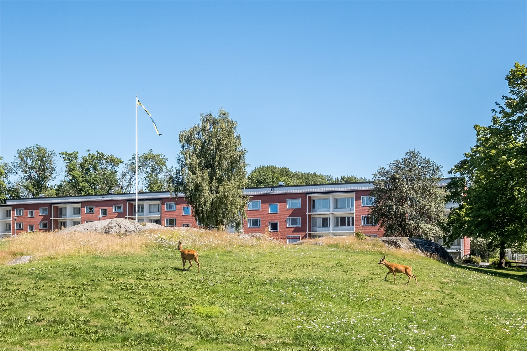 Ribbyvägen 6 – bild 22