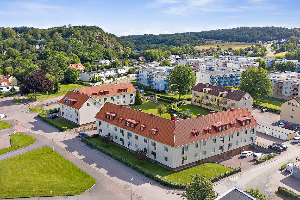 mån 12/10 – bild 16