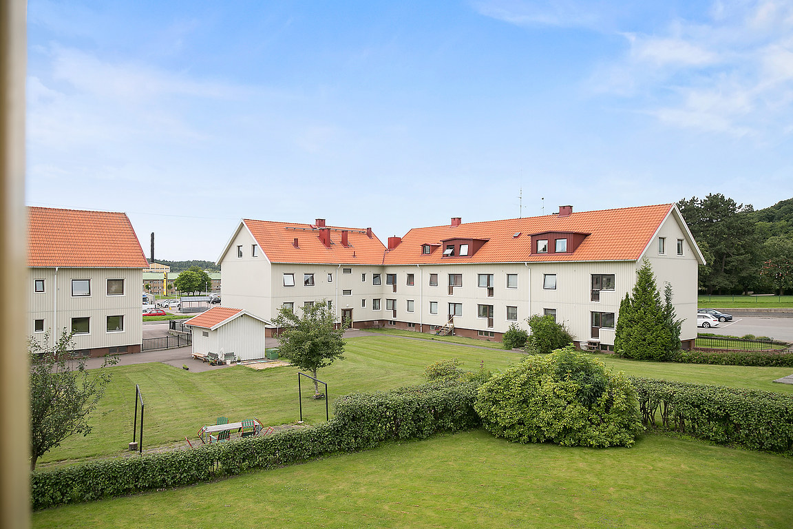 mån 12/10 – bild 15