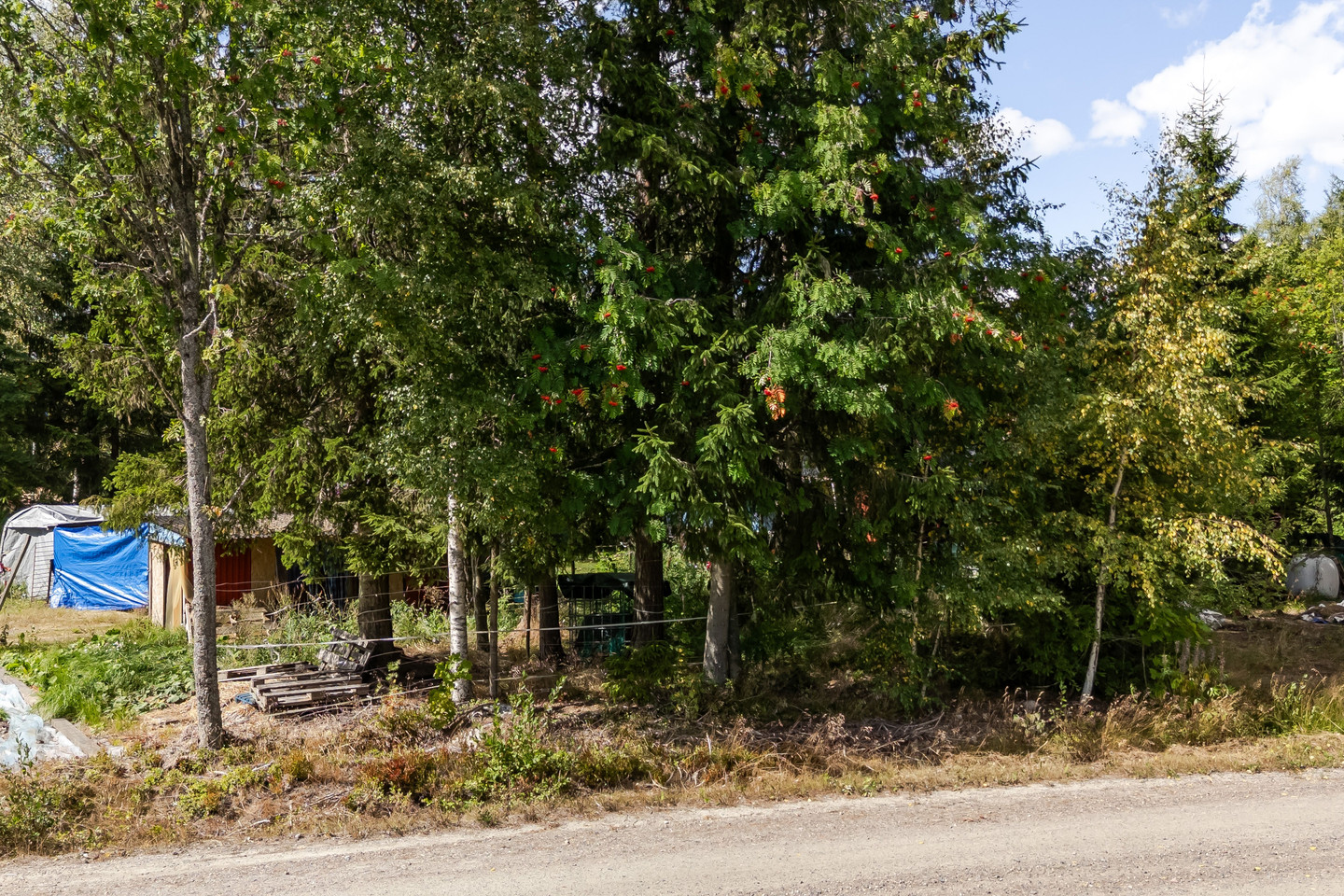 Norbo finnmark 84 – bild 14