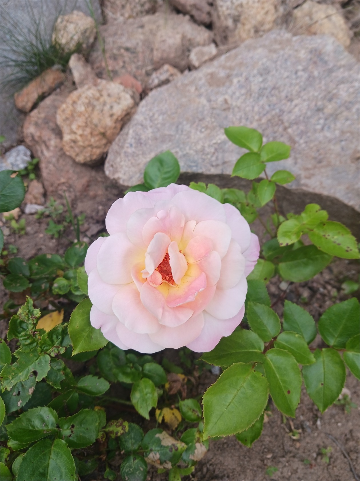 Smultronstigen 26 – bild 35