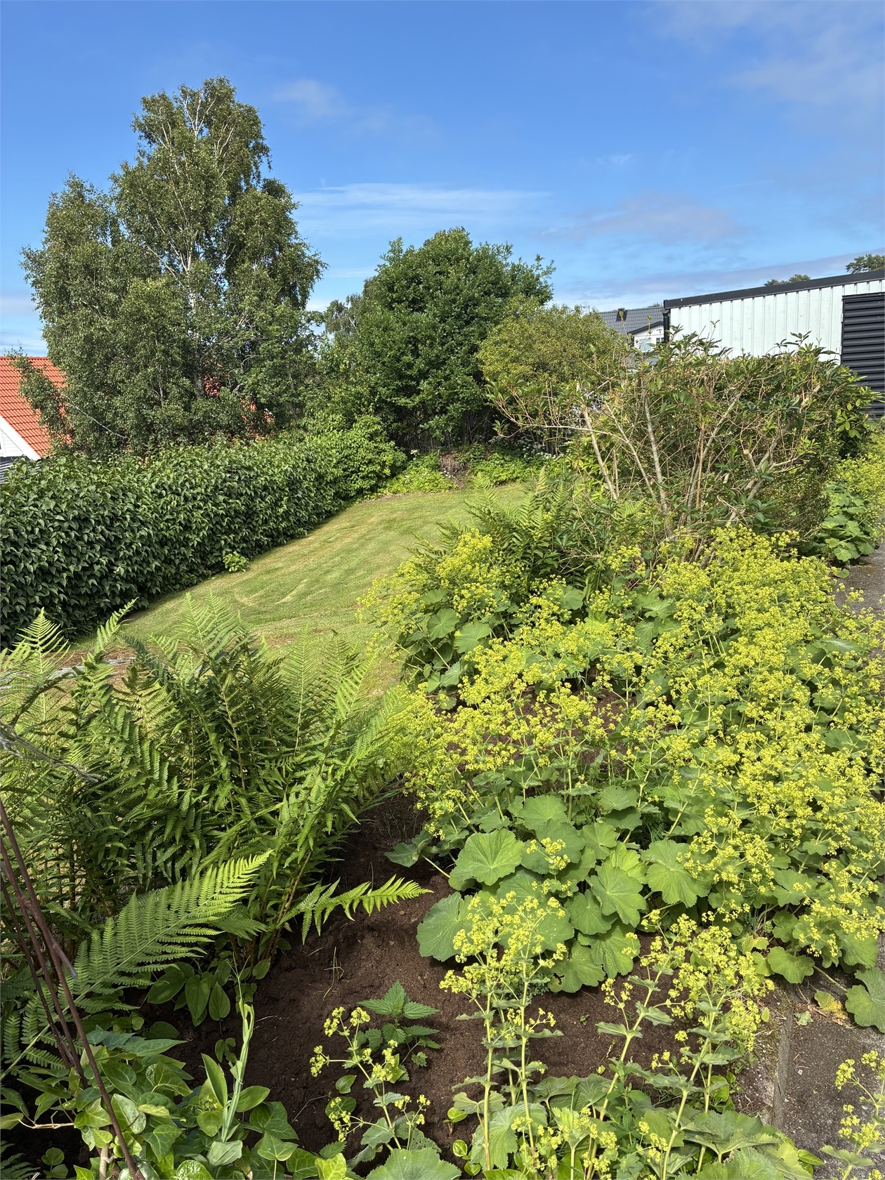 Näbbabergsstigen 3 – bild 37