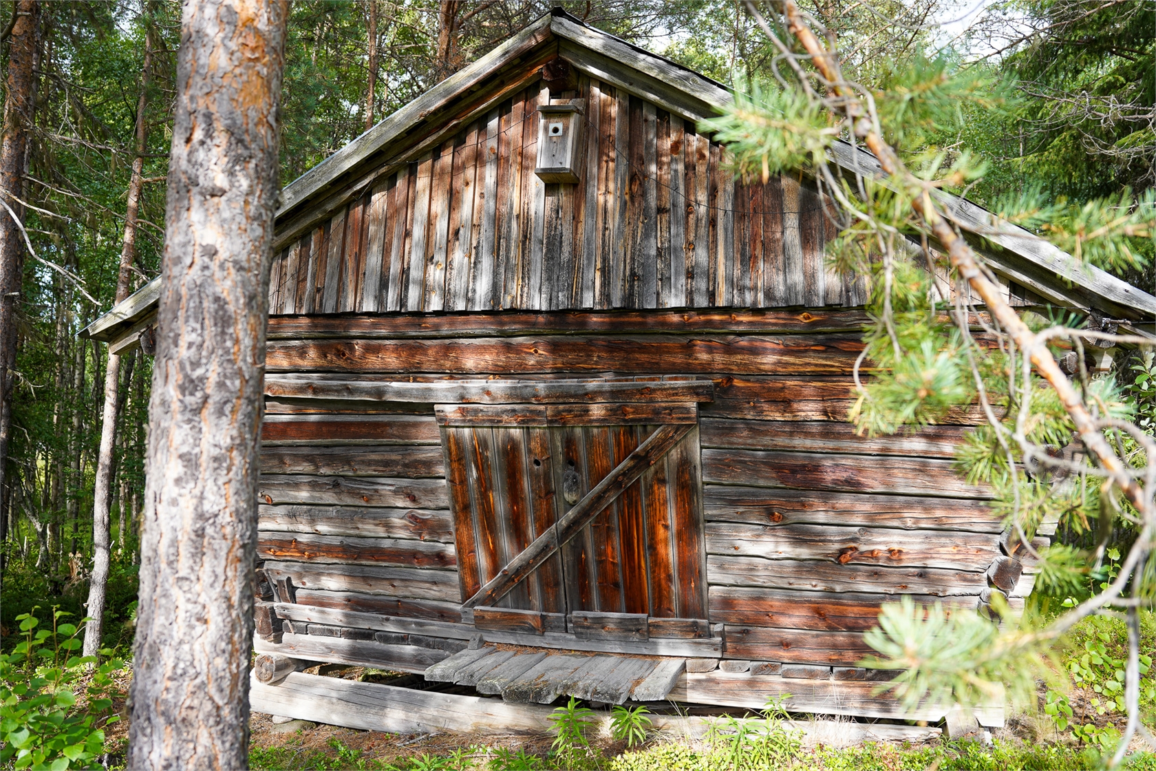 Fjällbonäs 117 – bild 22