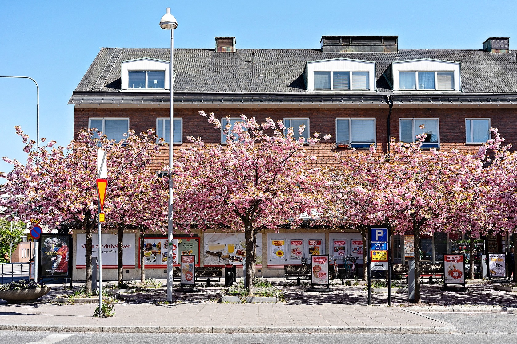 sön 11/10 – bild 19