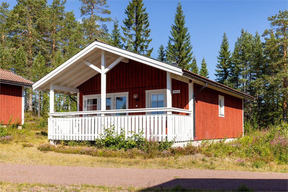 Räven 15