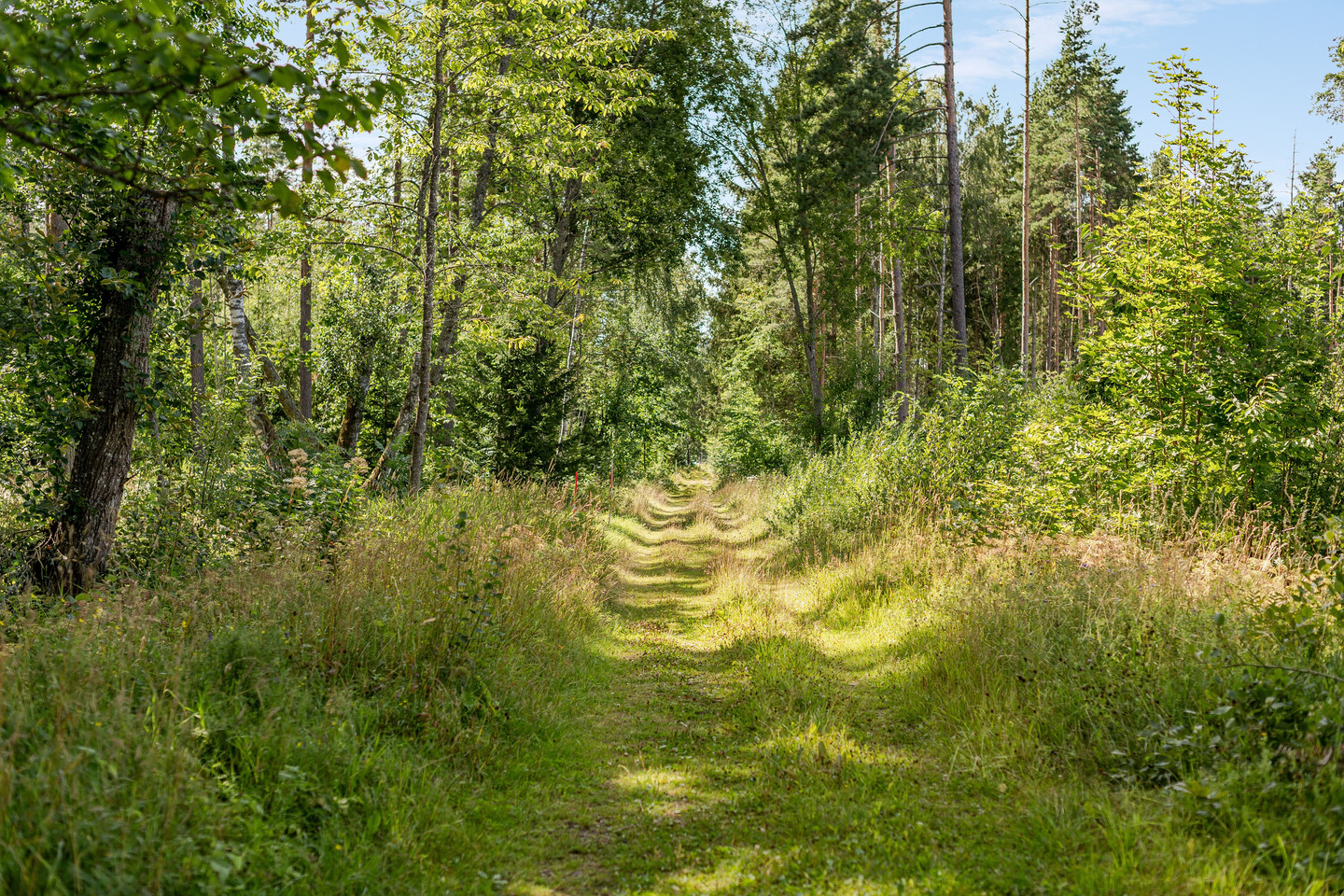 Kavlebäck Hagalund 1 – bild 29