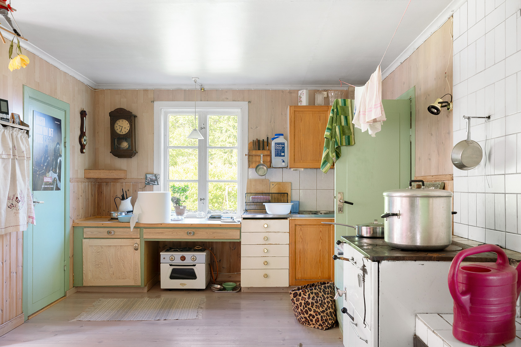 Kungsskogen Stor Älgsjön 1 – bild 7