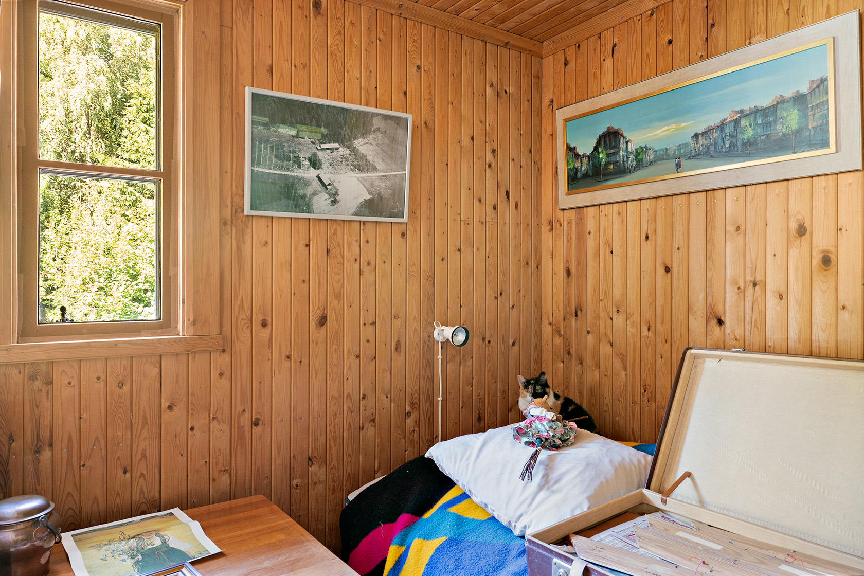 Kungsskogen Stor Älgsjön 1 – bild 18