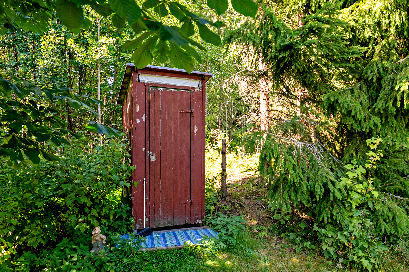 Kungsskogen Stor Älgsjön 1 – bild 23