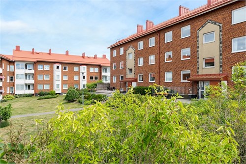 Föreningsbild
