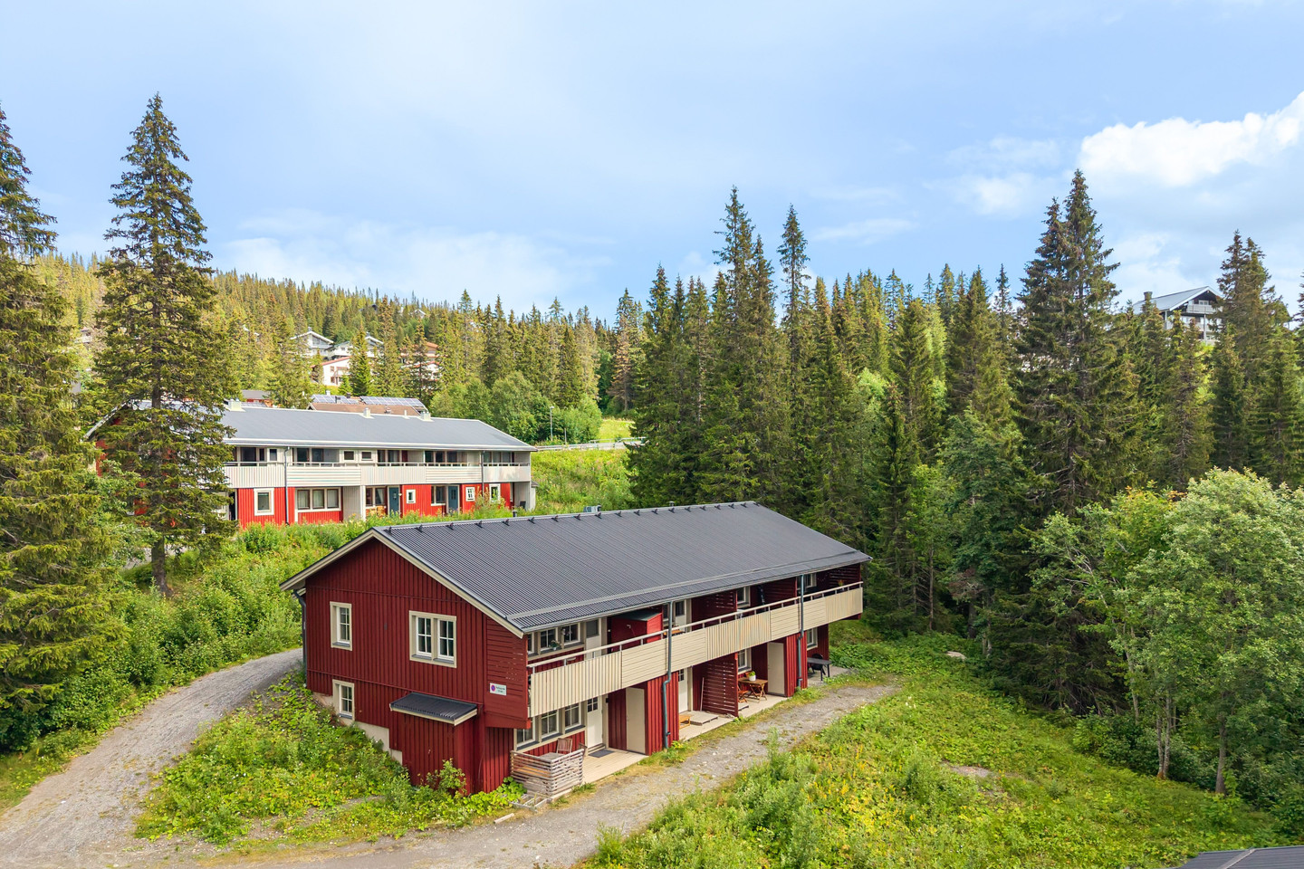 Björnen Renen 8G – bild 28