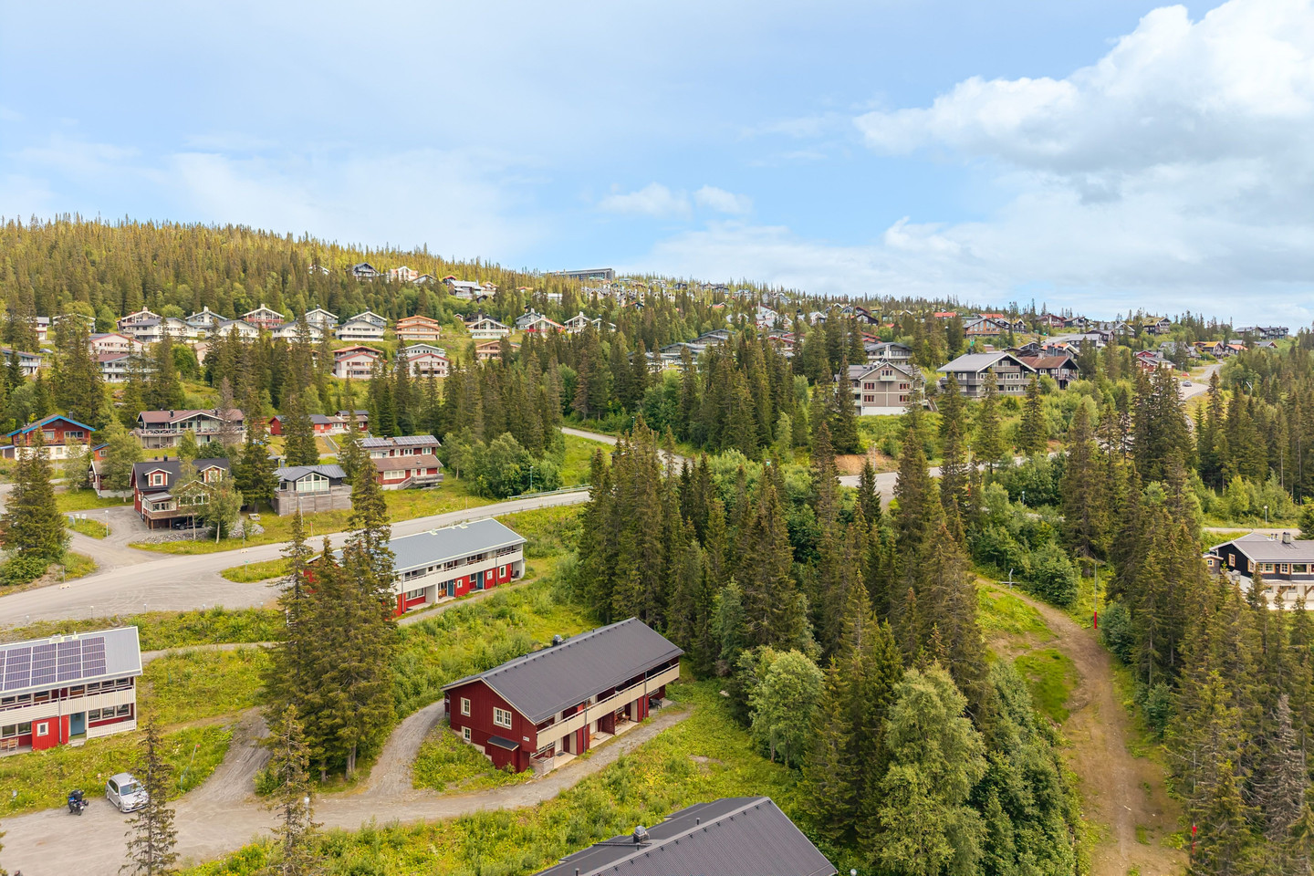Björnen Renen 8G – bild 25