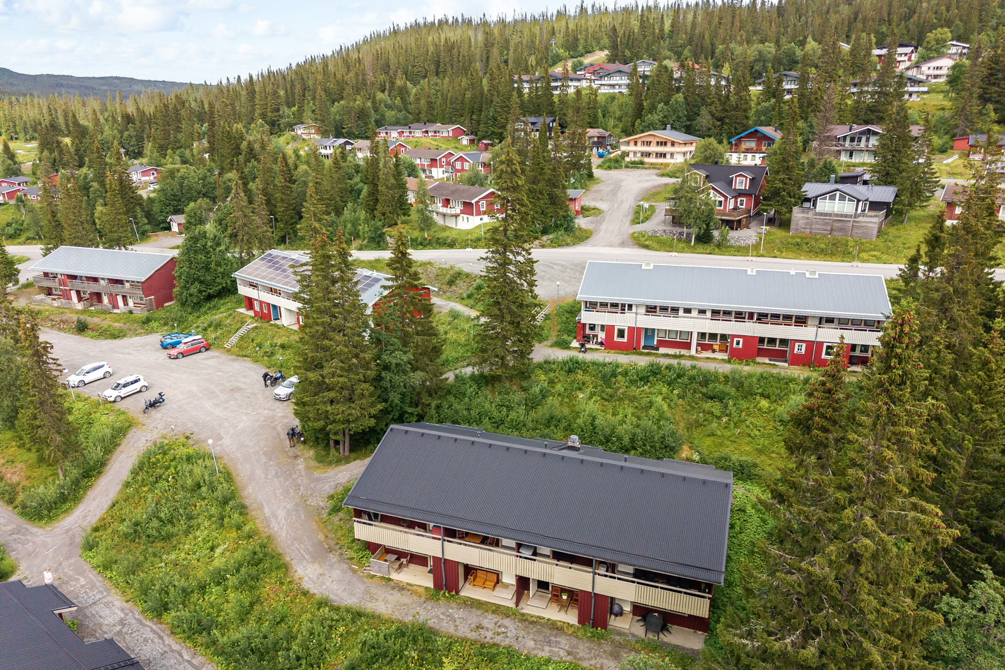Björnen Renen 8G – bild 29