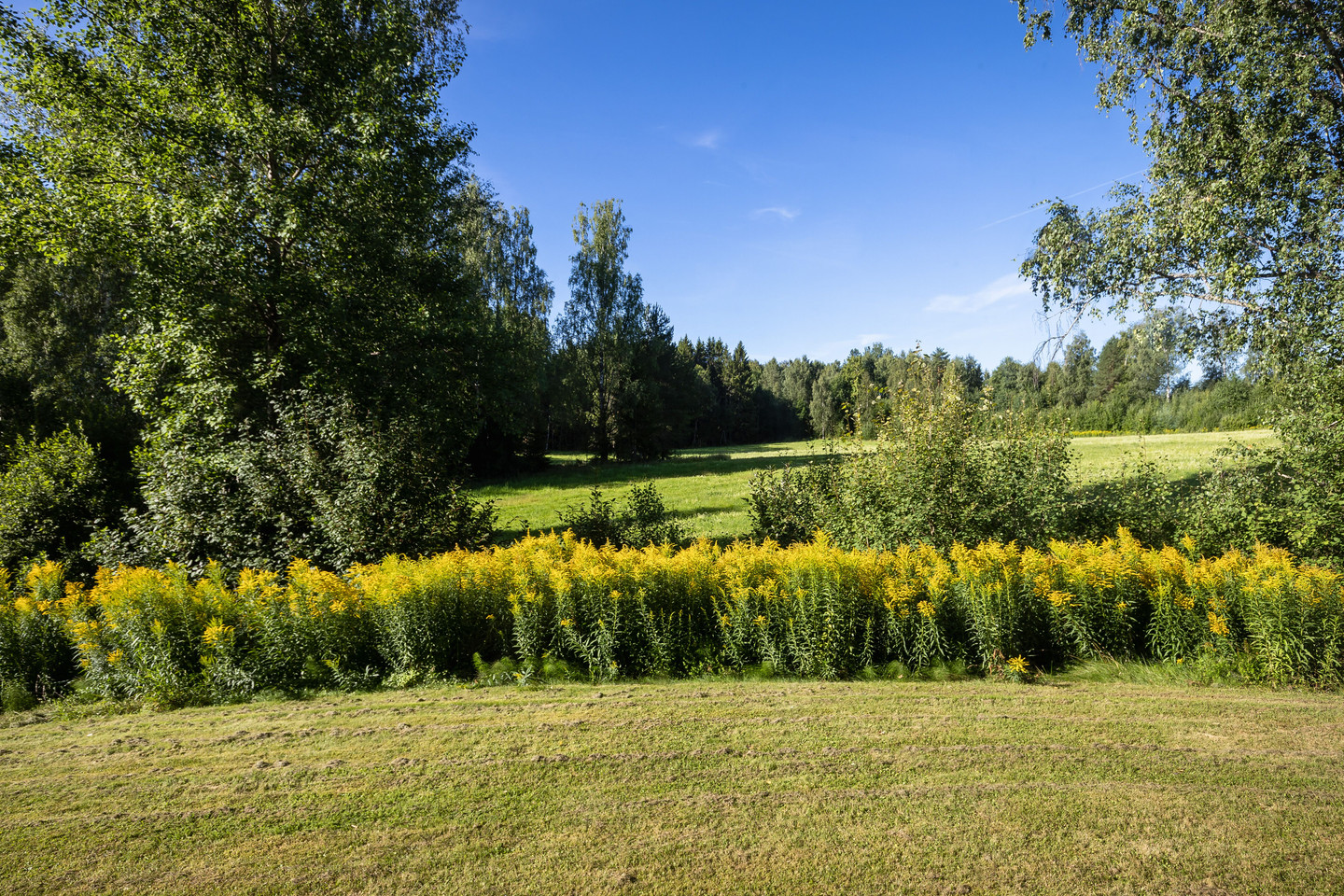 Rackstad Södra Haget 1 – bild 35
