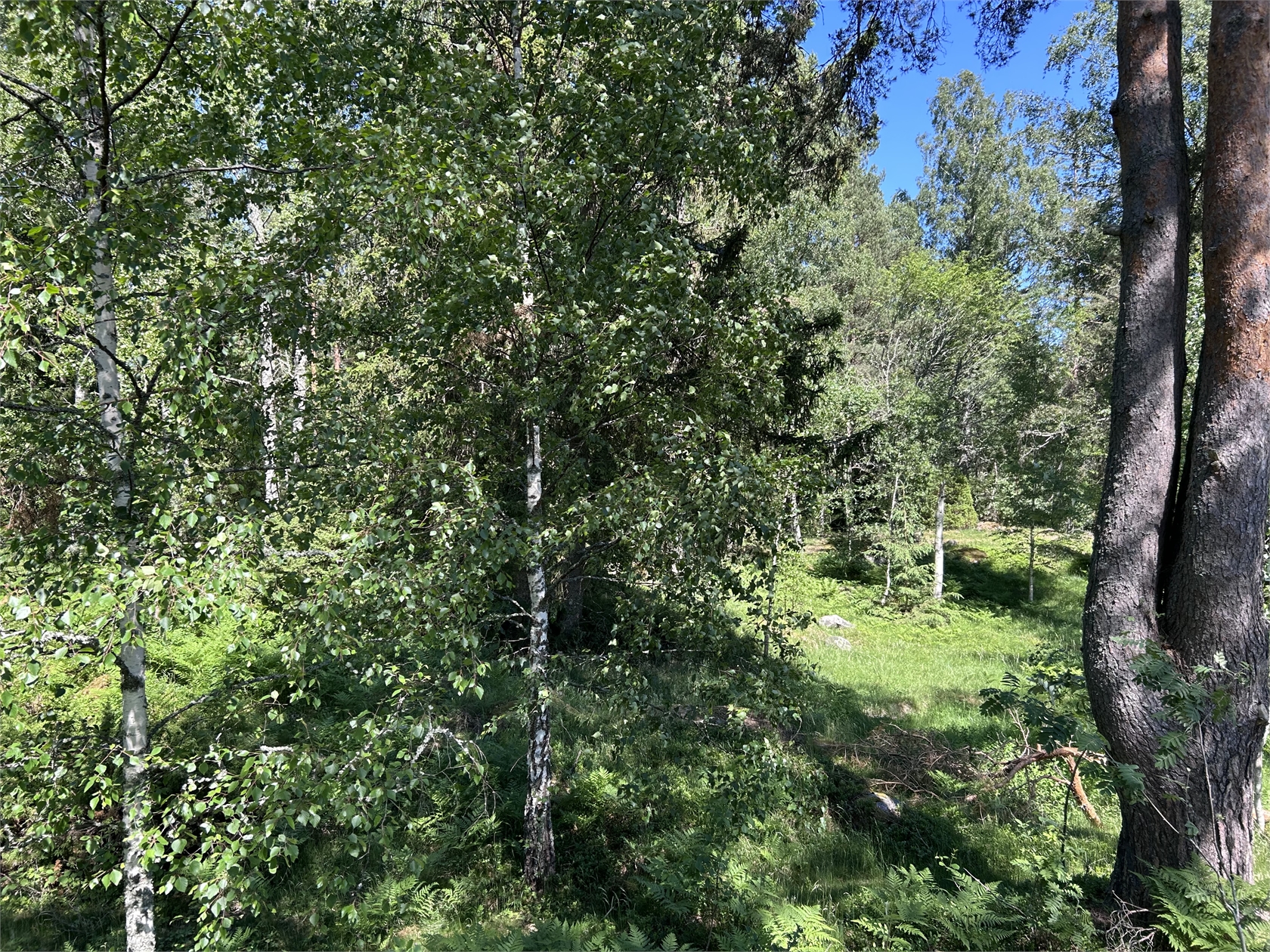 Dillingbyvägen 38B – bild 3