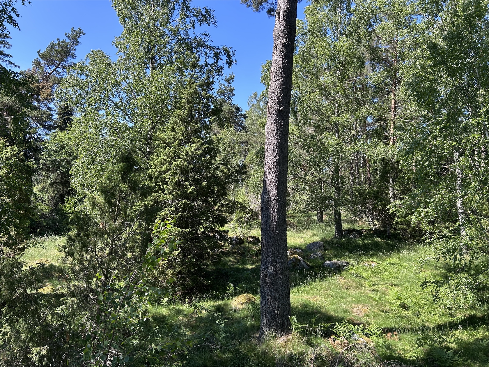 Dillingbyvägen 38B – bild 4