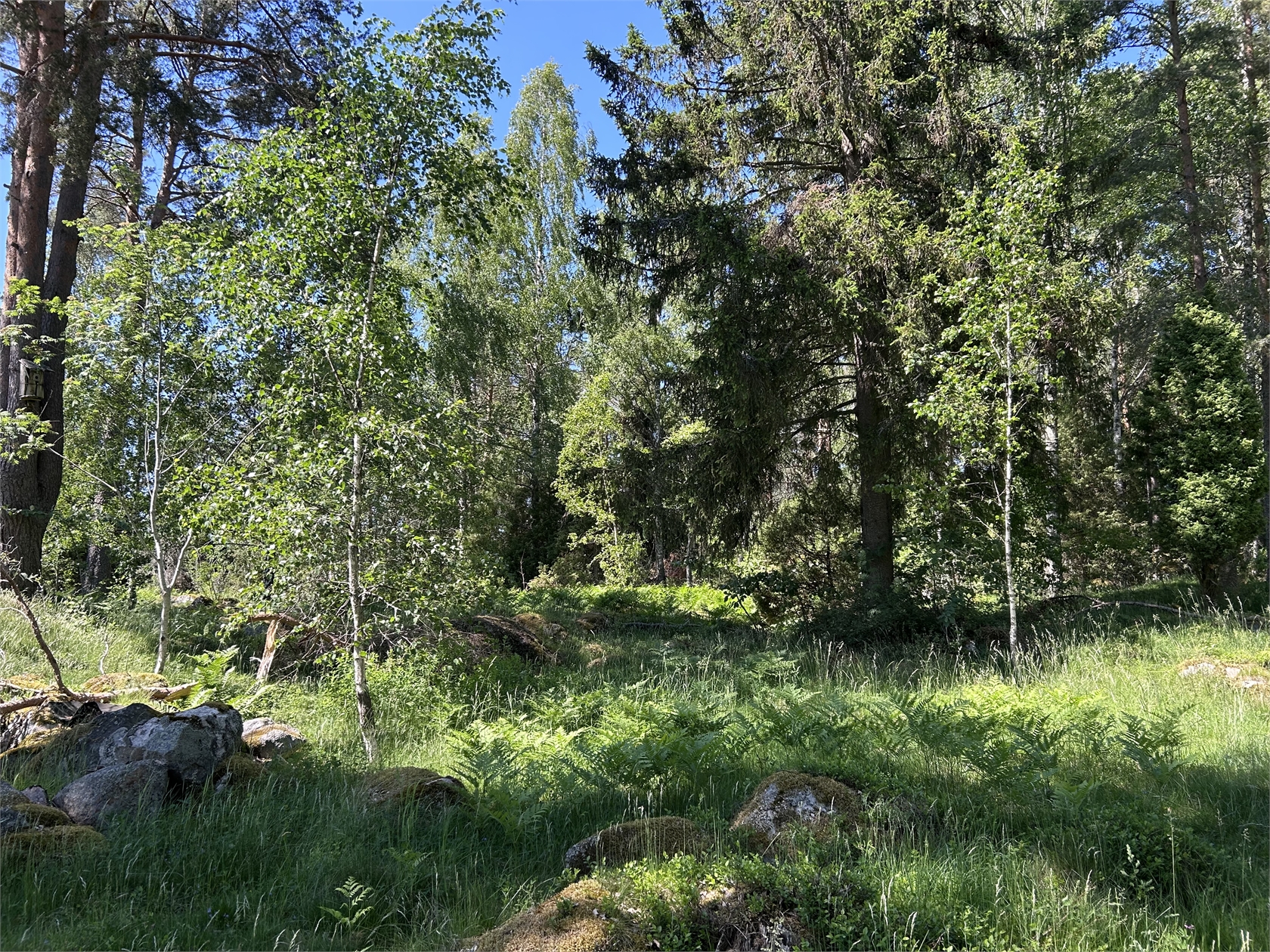 Dillingbyvägen 38B – bild 6