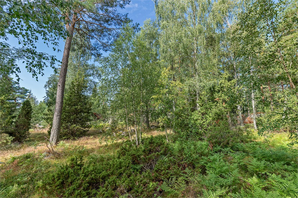 Dillingbyvägen 38B