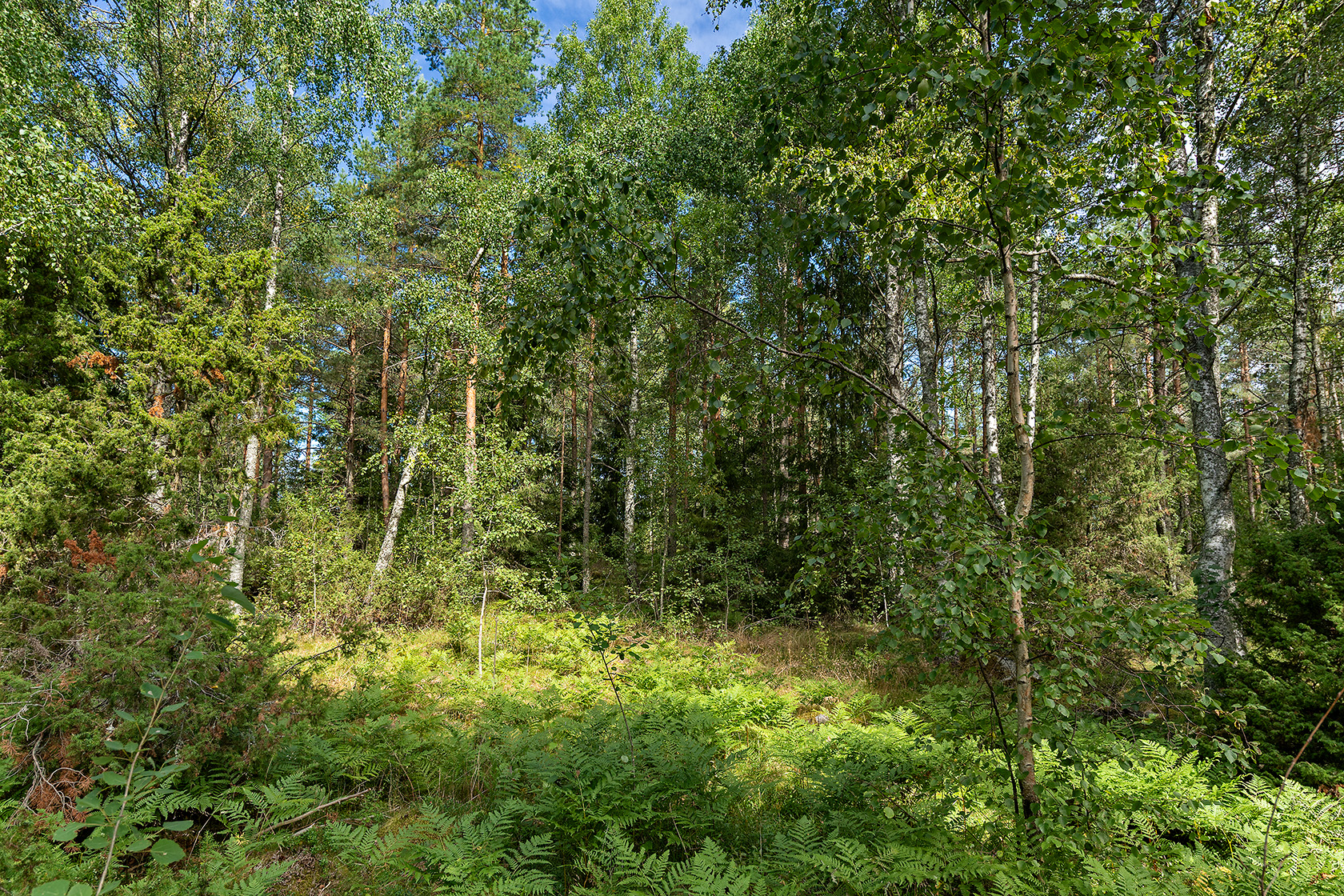 Dillingbyvägen 38B – bild 2