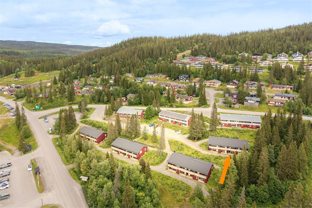Björnen Renen 8G