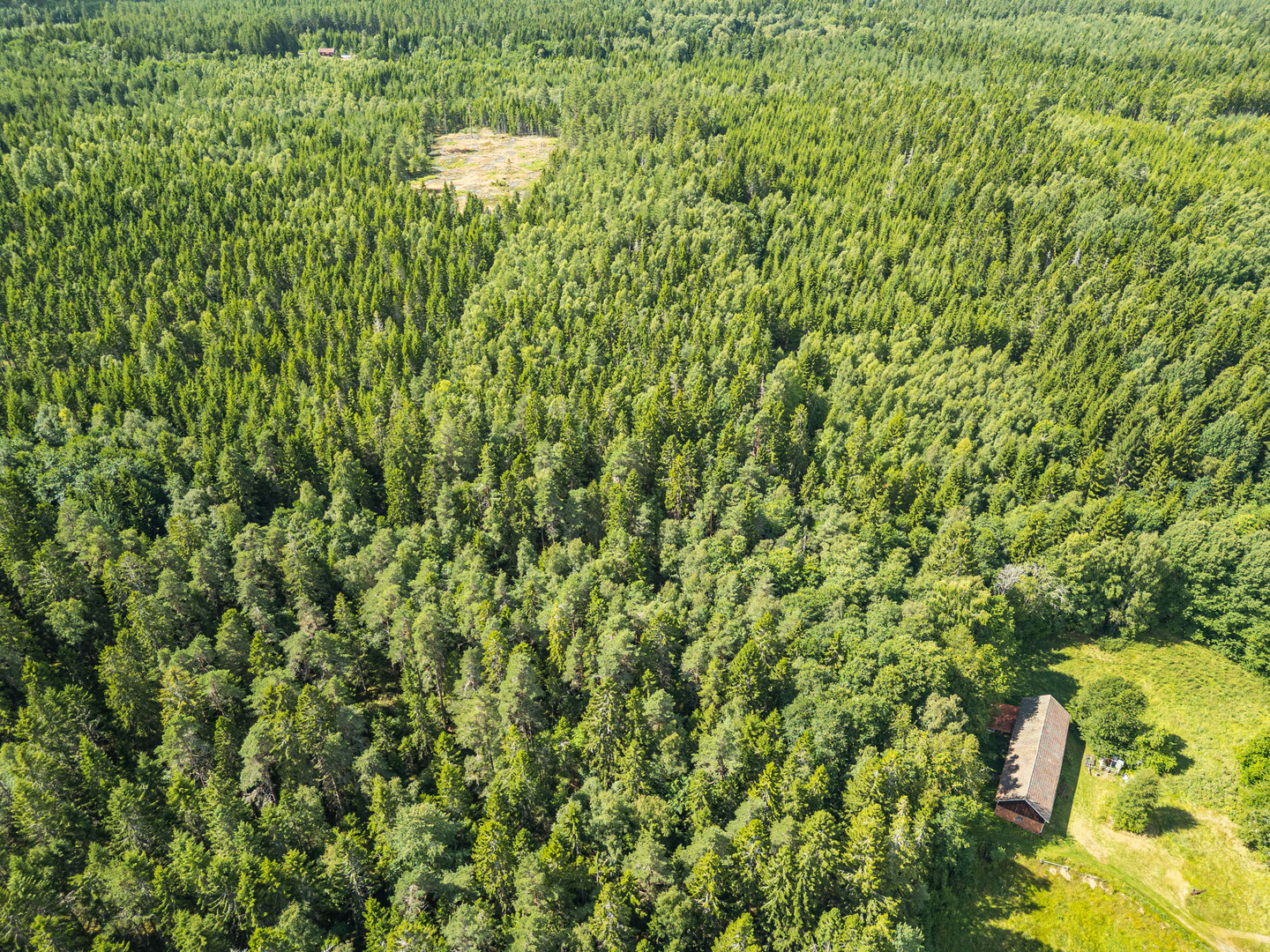 Missveden Annedal 1 – bild 33
