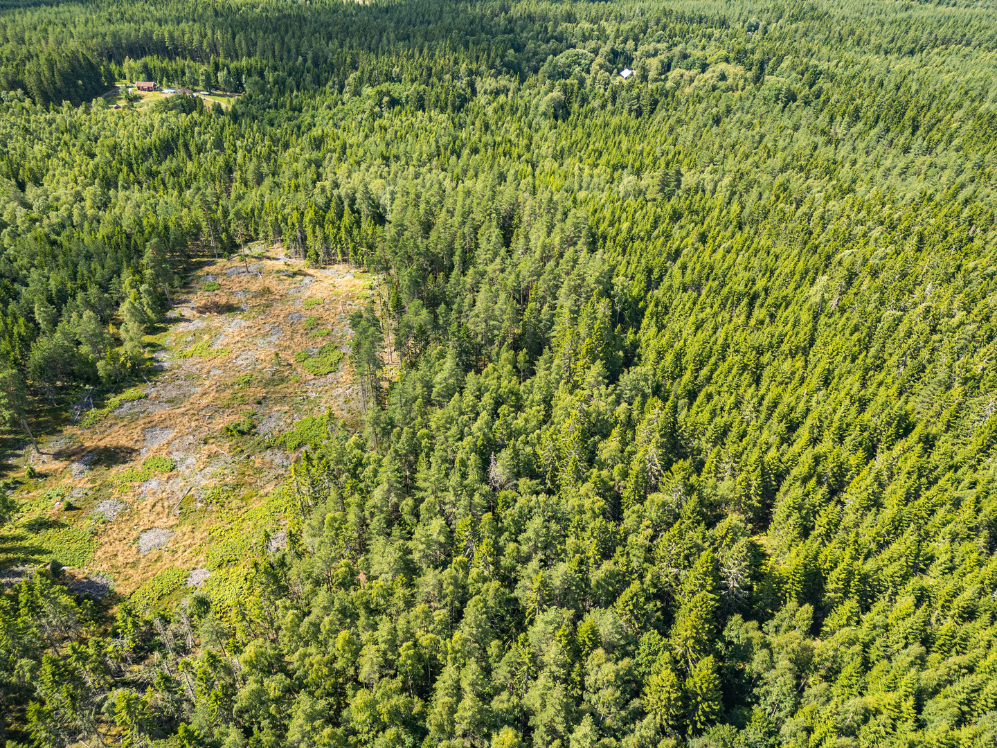 Missveden Annedal 1 – bild 5