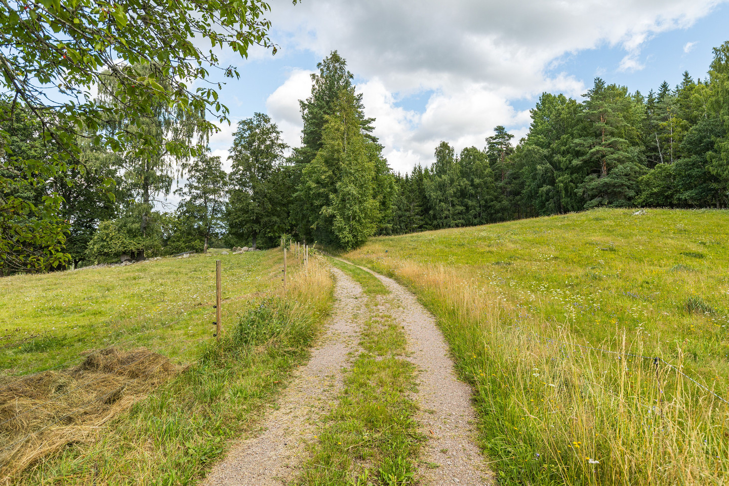 Missveden Annedal 1 – bild 36