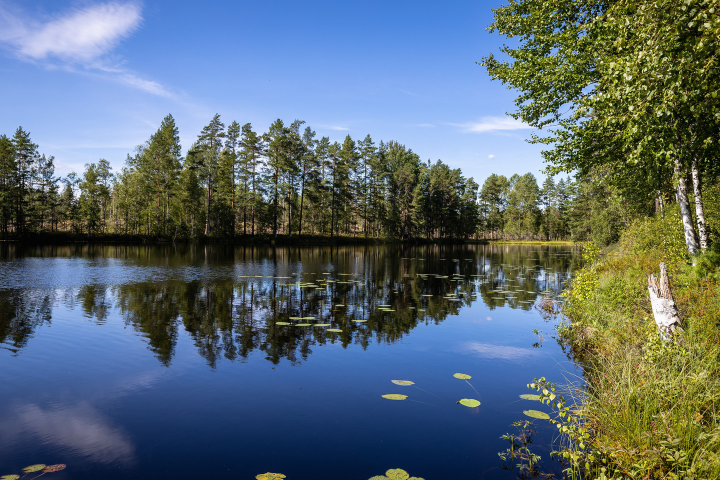 Prästhög Västtomta 1 – bild 46