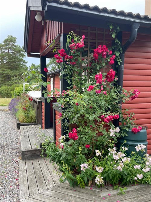Säljarens egna bilder