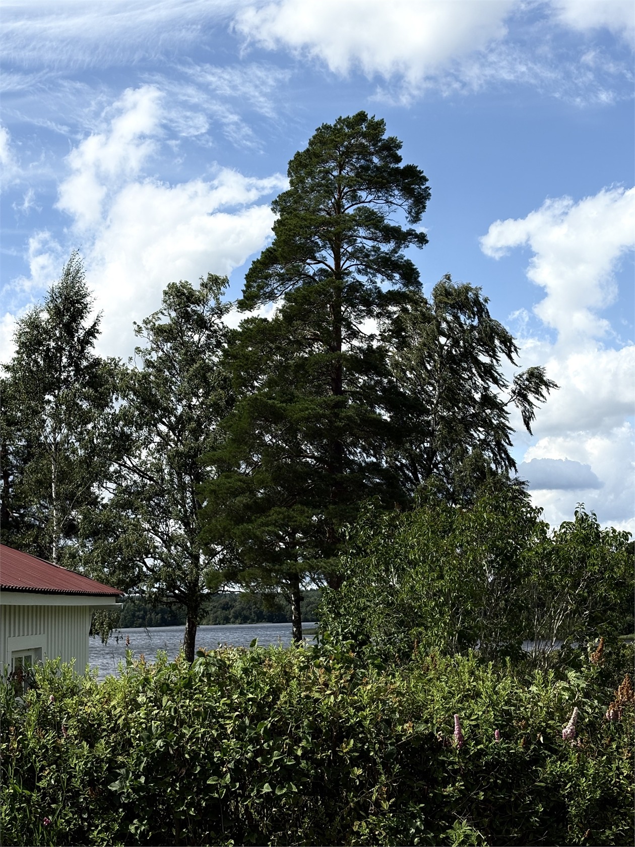 Östanå Brunnsvägen 4 – bild 14