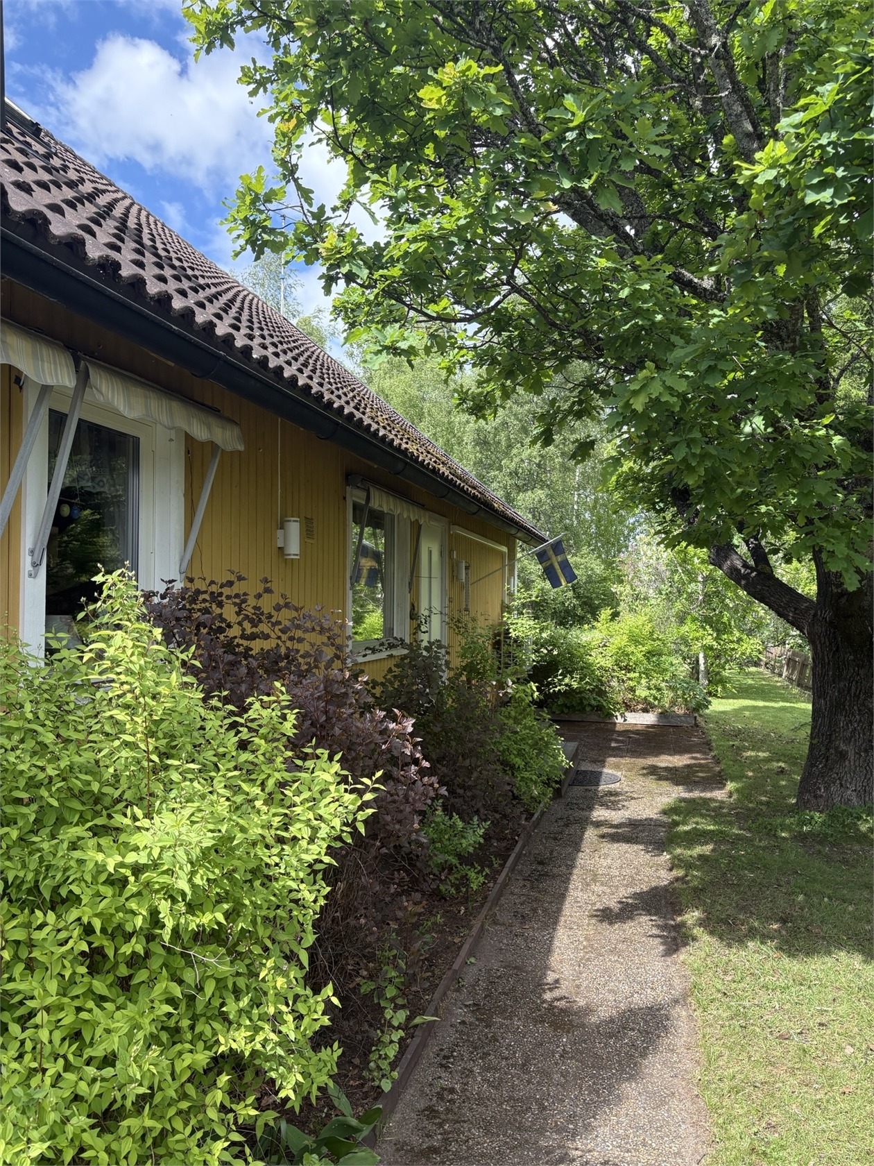 Rådjursstigen 10 – bild 6