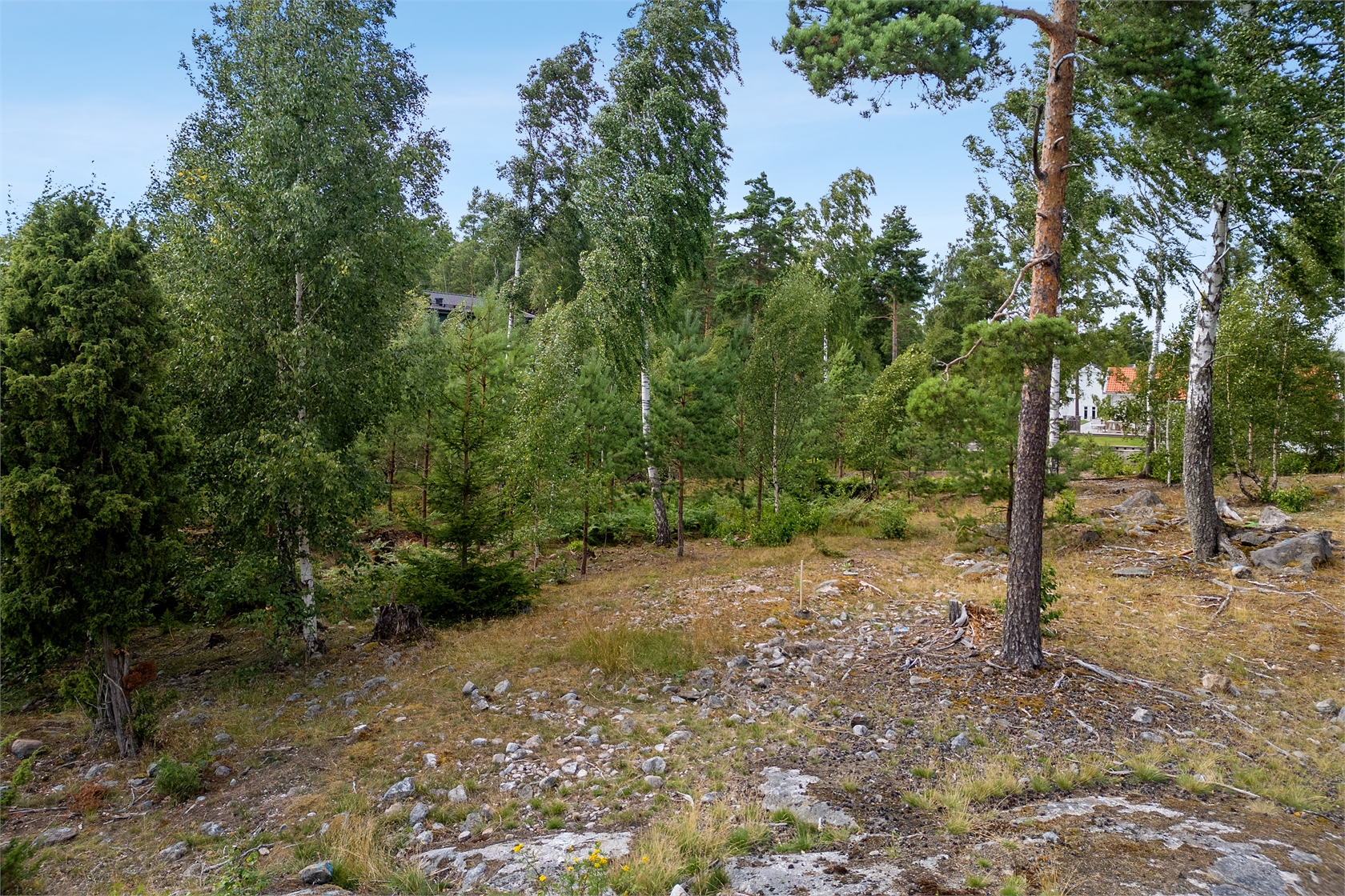 Astrakanvägen 7 – bild 6