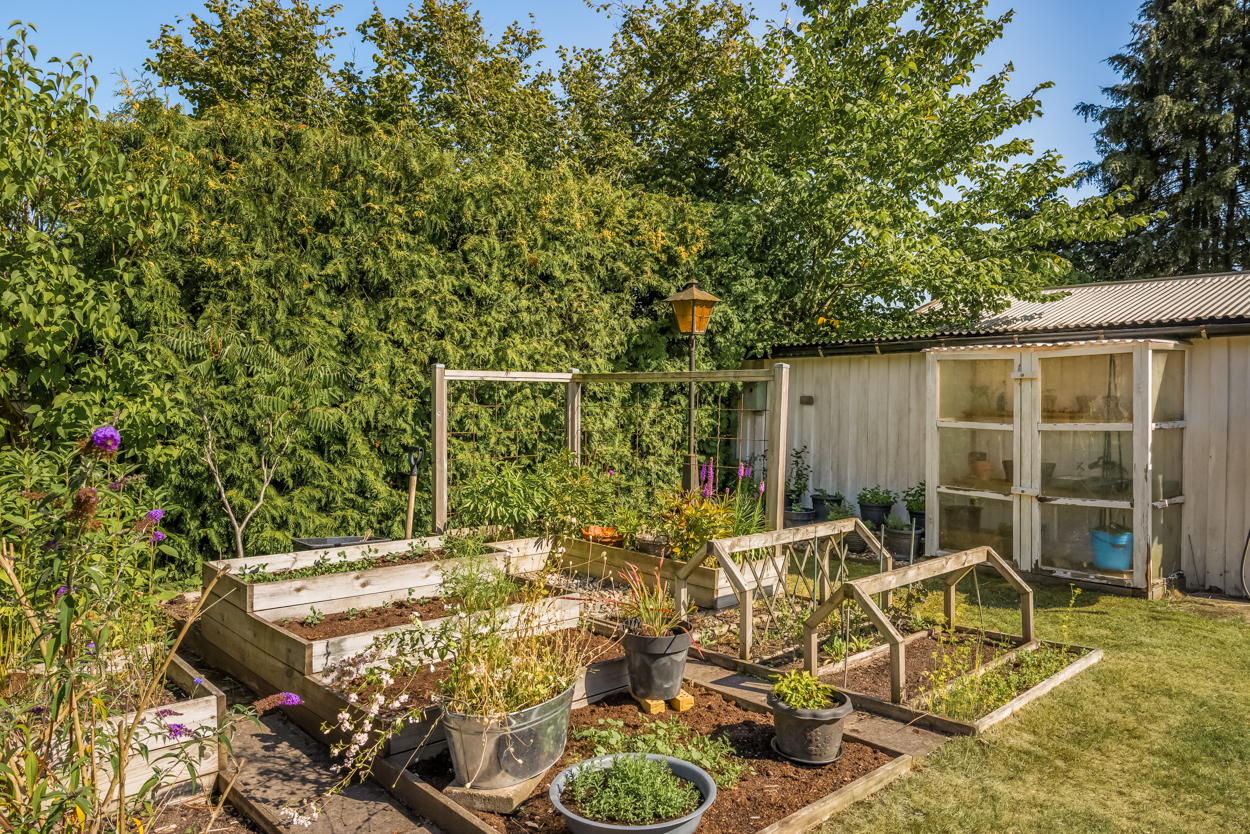 Solrosgatan 9 – bild 8